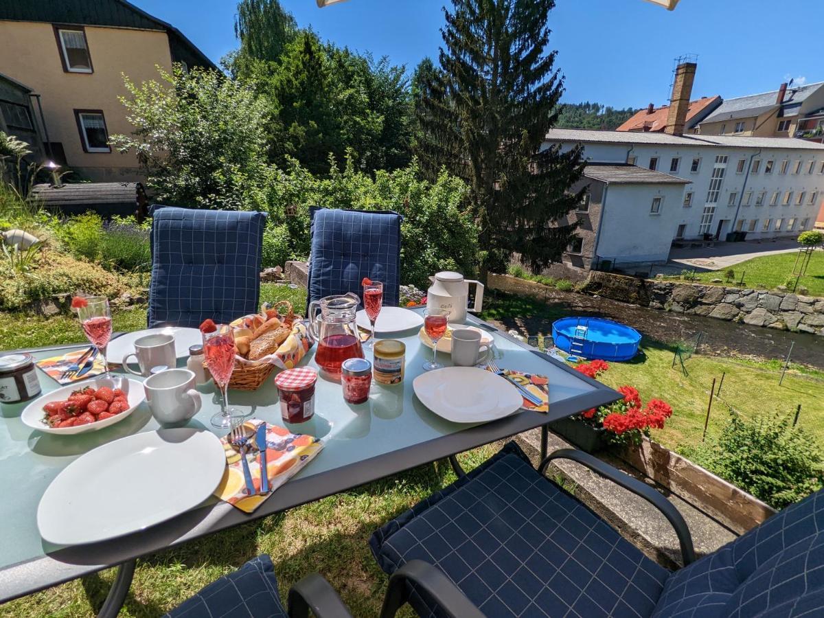 Lichtdurchflutete Helle Wohnung Mit Garten Sauna & Pool - Hw3 Sebnitz Εξωτερικό φωτογραφία