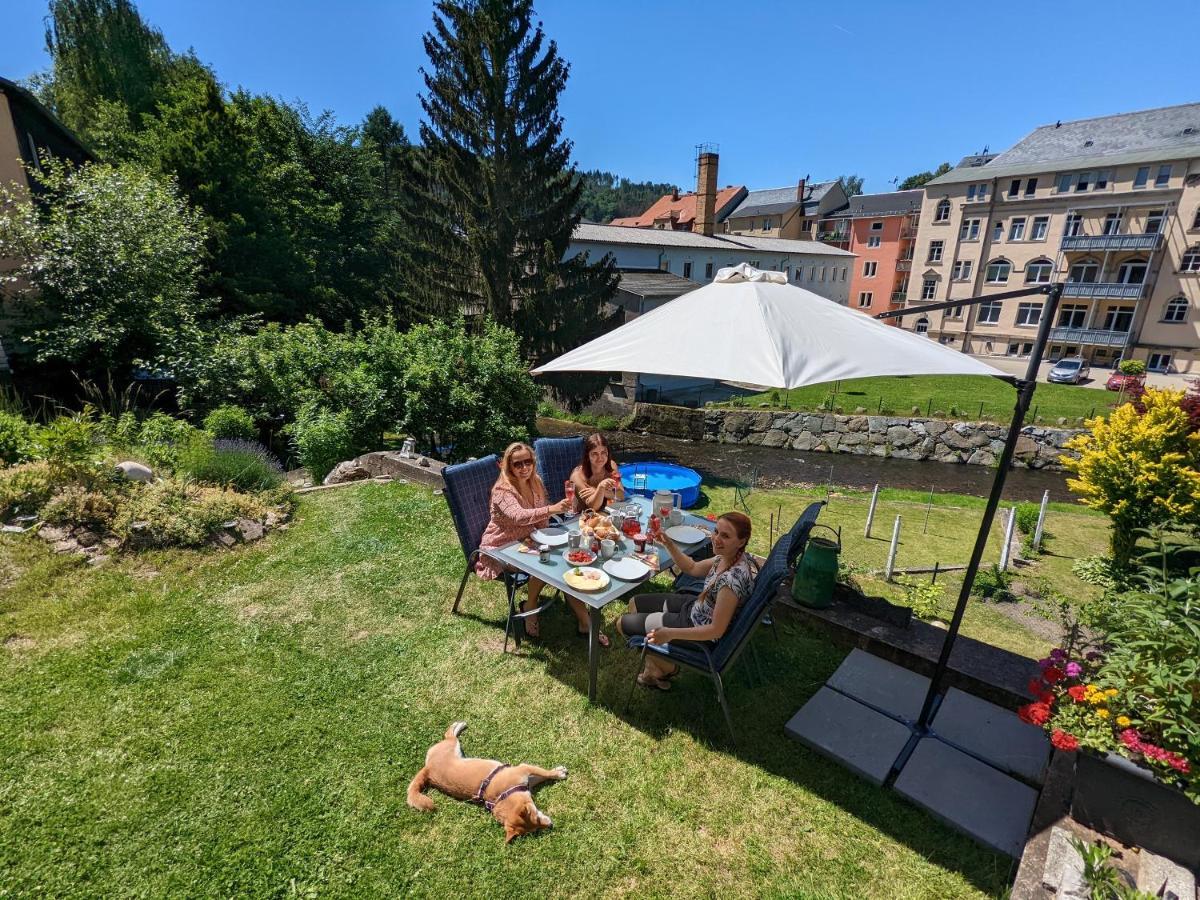 Lichtdurchflutete Helle Wohnung Mit Garten Sauna & Pool - Hw3 Sebnitz Εξωτερικό φωτογραφία